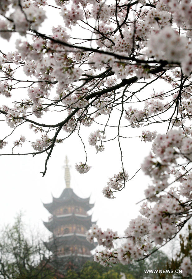 Photo prise le 20 mars 2013 à Nanjing, dans la province du Jiangsu