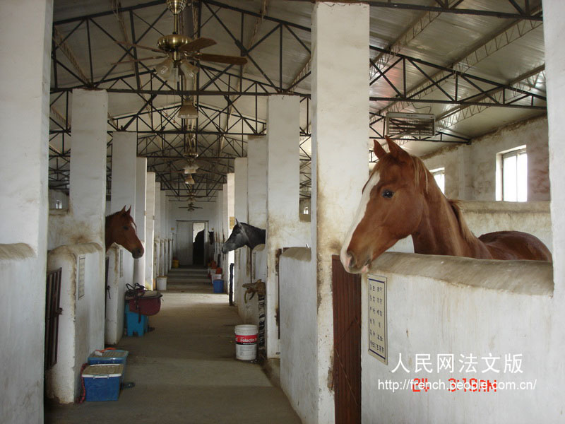 Une journée dans la ferme « chevalier sans souci » en banlieue de Beijing (2)