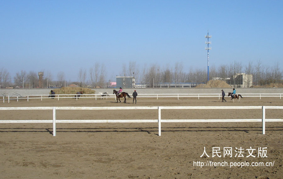 Une journée dans la ferme « chevalier sans souci » en banlieue de Beijing (4)