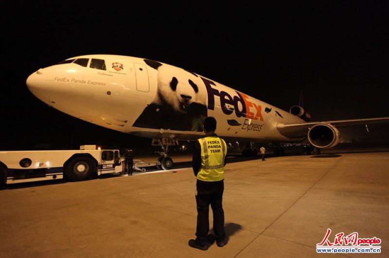 L'avion de la Federal Express transportant deux pandas arrive à l'aéroport international Pearson de Toronto le 25 mars 2013. Les deux plantigrades ont été prêtés au Canada par la Chine pour une période de 10 ans. [Photo / Agences]
