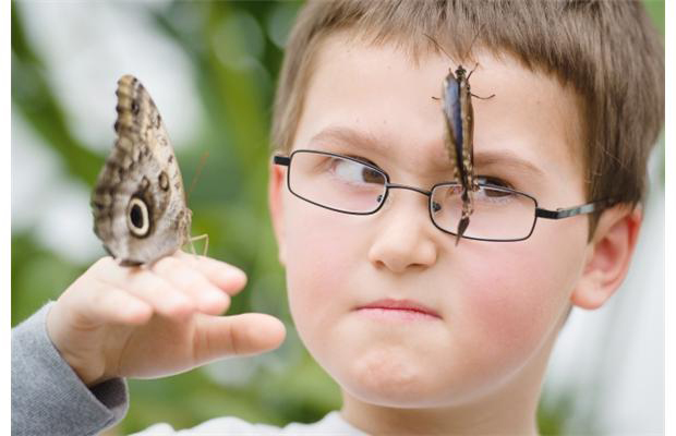 Londres : quand les enfants s'amusent avec les papillons… (3)