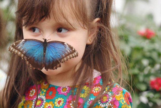 Londres : quand les enfants s'amusent avec les papillons… (4)