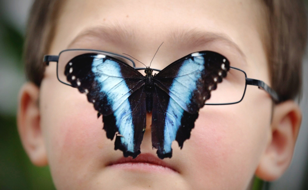 Londres : quand les enfants s'amusent avec les papillons… (2)