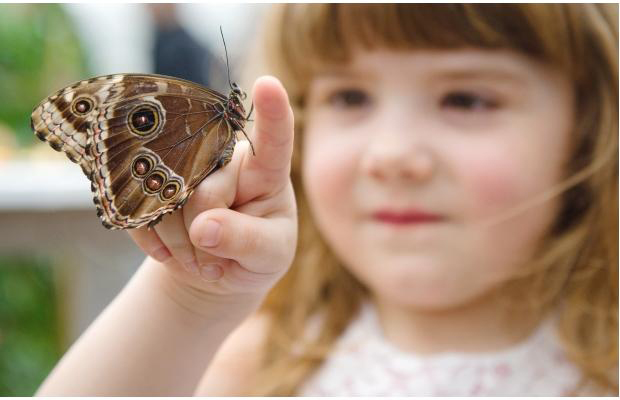 Londres : quand les enfants s'amusent avec les papillons…