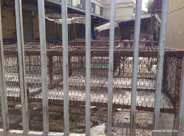 Grippe aviaire H7N9 : suspension du commerce de volailles vivantes à Nanjing  (2)