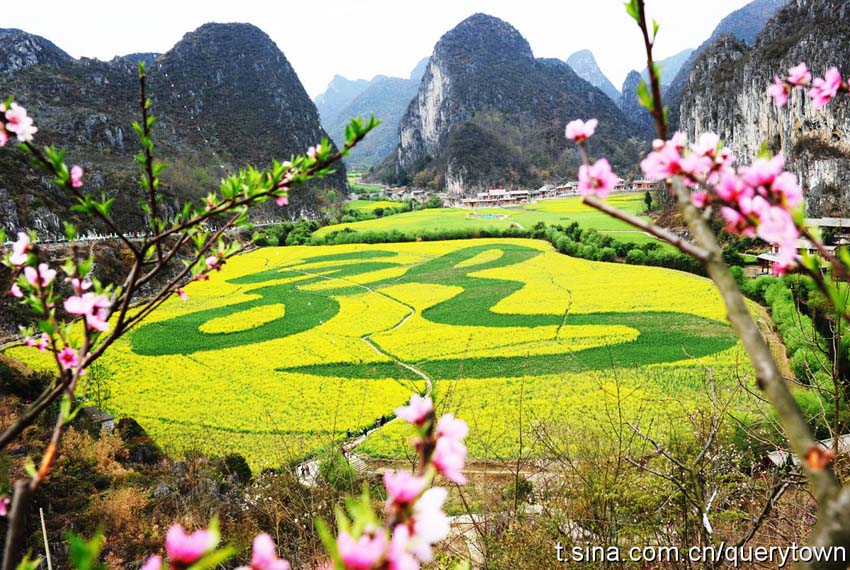 Les sept sites touristiques de fleurs de colza les plus célèbres en Chine (5)