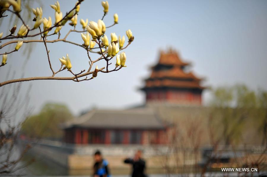 EN IMAGES: beaux paysages du printemps à Beijing (4)