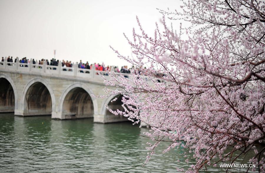 EN IMAGES: beaux paysages du printemps à Beijing (6)