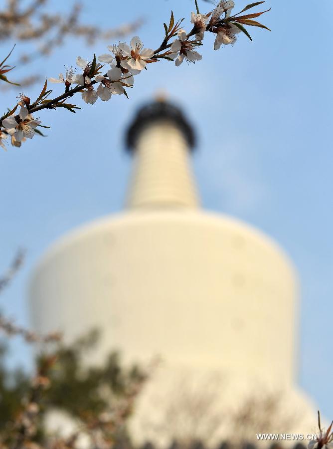 EN IMAGES: beaux paysages du printemps à Beijing (7)