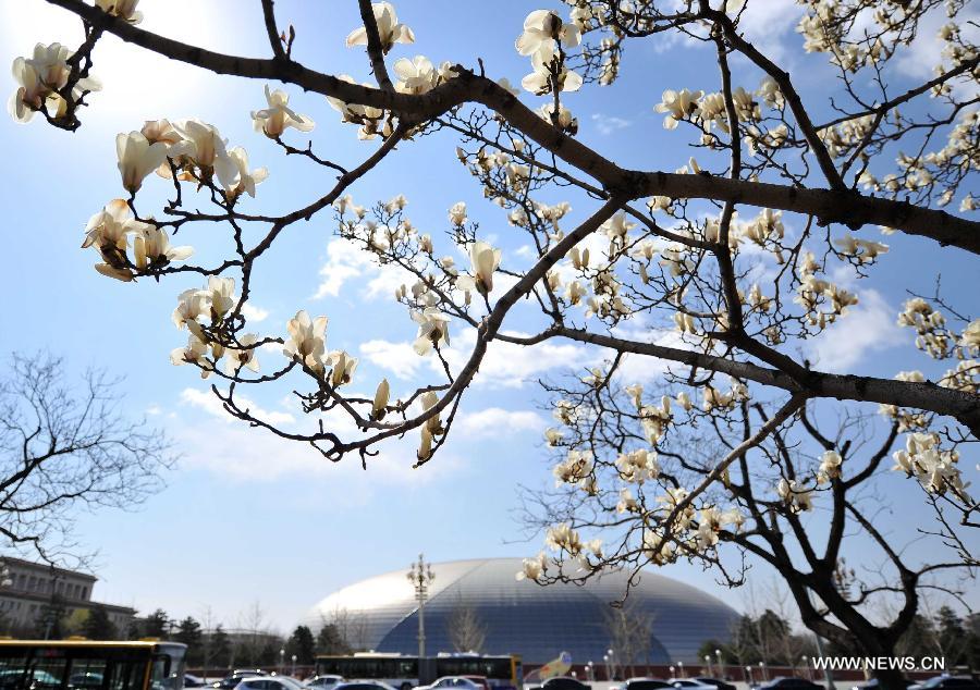 EN IMAGES: beaux paysages du printemps à Beijing (2)