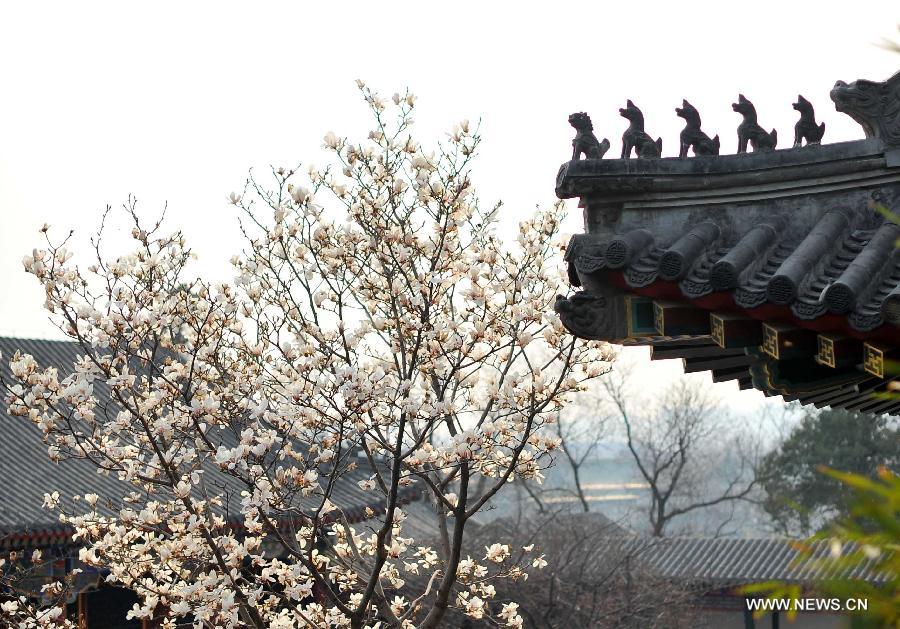 EN IMAGES: beaux paysages du printemps à Beijing (8)