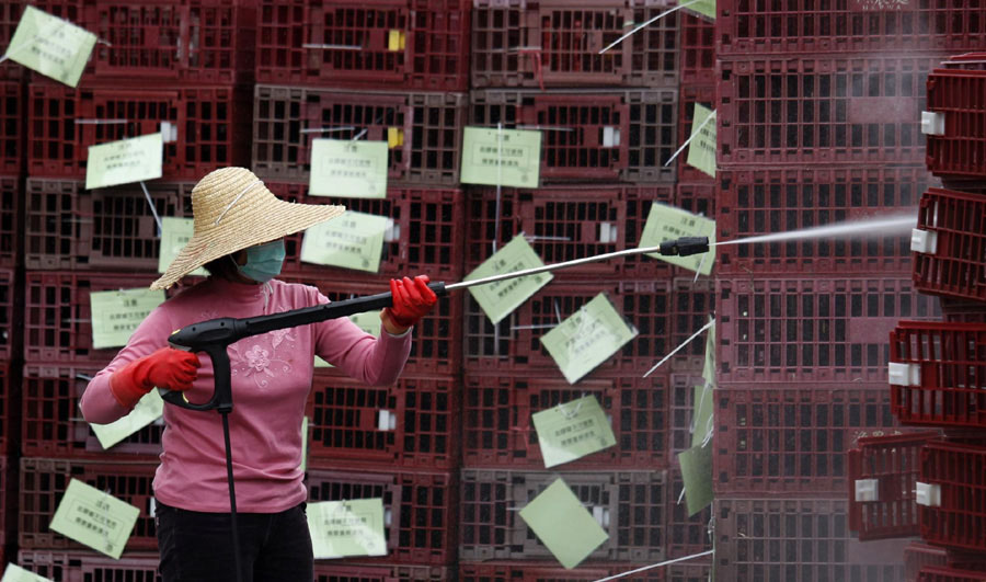 Une employée nettoie les cages vides qui ont été utilisés pour transporter des poulets, après les transactions matinales sur un marché de volailles en gros à Hong Kong, le 8 avril 2013. [Photo / Agences]