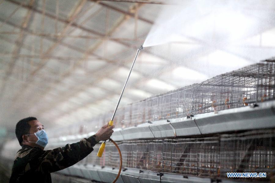 Un travailleur sanitaire vaporise du désinfectant dans une ferme avicole du bourg de Dayang à Bozhou, ville dans la province orientale de l'Anhui, le 9 avril 2013. (Xinhua/Liu Qinli)