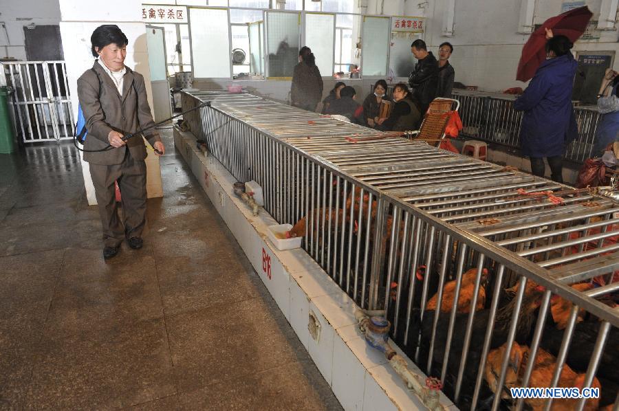 Un travailleur médical vaporise du désinfectant dans une zone d'échange de volailles vivantes dans un marché à Guiyang, capitale de la province sud-ouest du Guizhou, le 10 avril 2013. Selon le dernier bilan établi vendredi à 08h00, un total de 38 cas de grippe aviaire H7N9, dont dix mortels, ont été rapportés en Chine. (Xinhua/Ou Dongqu) 