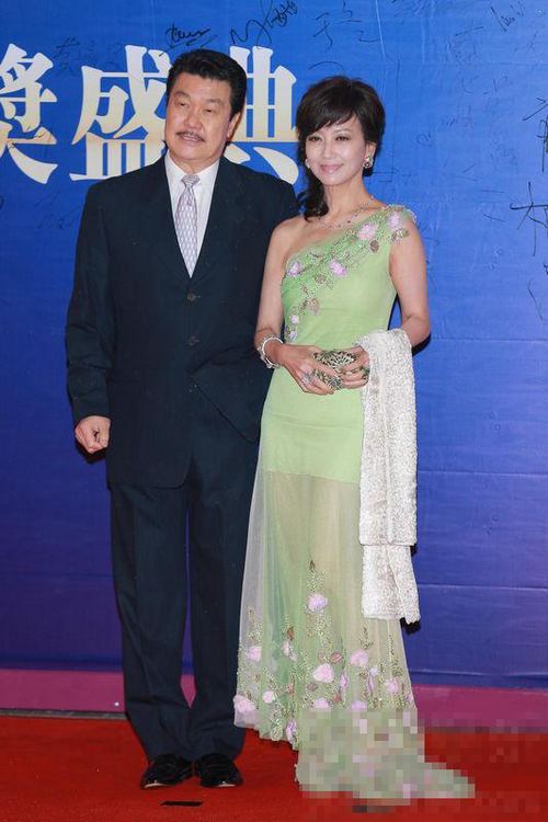 Défilé de stars sur le tapis rouge du Huading Award 2013 (17)