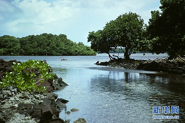 Les canaux de Nan Madol, sur l'île de Pohnpei (Micronésie)