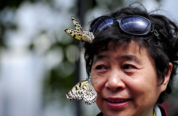 Lundi, une femme s'amuse avec le vol de papillons dans un conservatoire du Jardin botanique de Beijing. En plus des près de 2 000 papillons vivants, le conservatoire présente également divers spécimens qui ont été recueillis dans le monde entier. [Photo/Asianewsphoto]