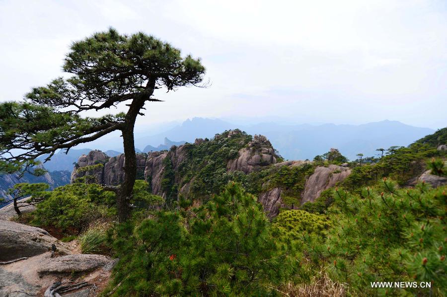 Le mont chinois Sanqing dans le Jiangxi (10)