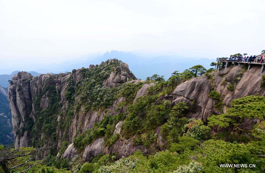 Le mont chinois Sanqing dans le Jiangxi (6)