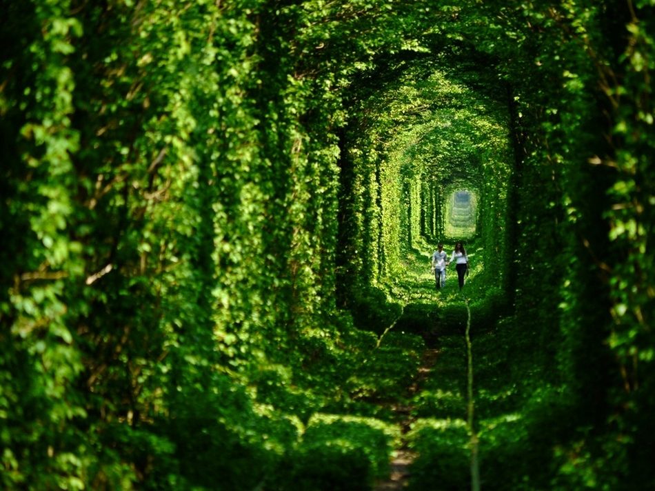 Le tunnel de l'Amour, en Ukraine