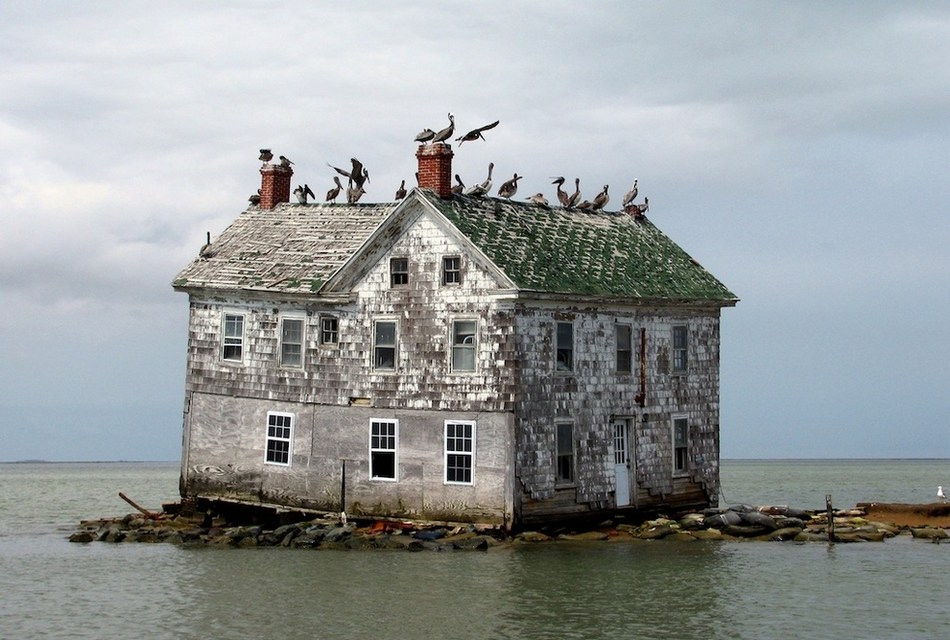 Holland Island, dans la baie de Chesapeake, aux États-Unis