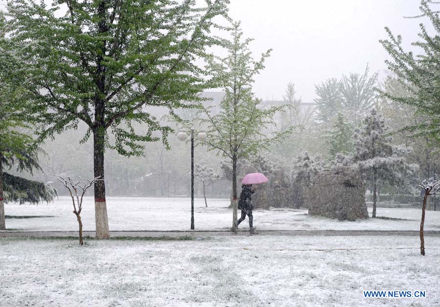 Taiyuan, capitale de la province du Shanxi, a connu vendredi des chutes de neige.