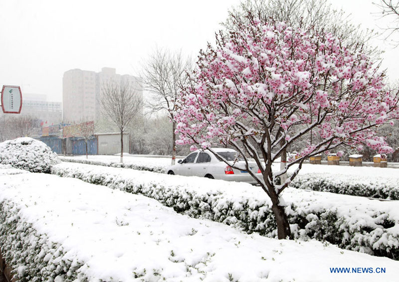 Chine : chutes de neige dans le nord du pays 
