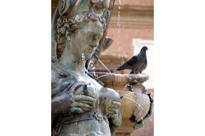 La fontaine de Neptune à Bologne, Italie