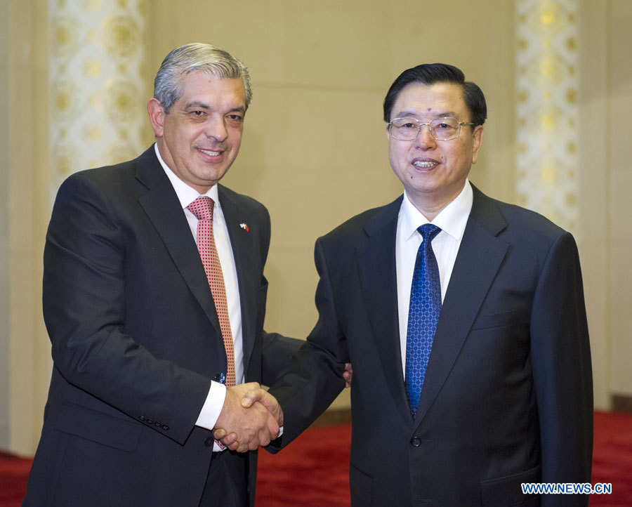 La Chine et l'Argentine s'engagent à renforcer leur coopération