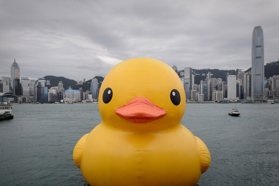Le 2 mai, le plus grand canard en plastique du monde arrive au port Victoria de Hong Kong. (Photo : Xinhua/Lipeng)