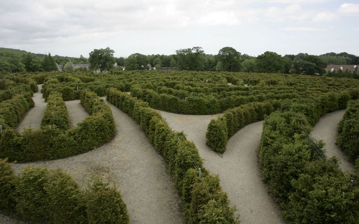 Le labyrinthe Peace Maze dans le Castlewellan Forest Park en Irlande du Nord.