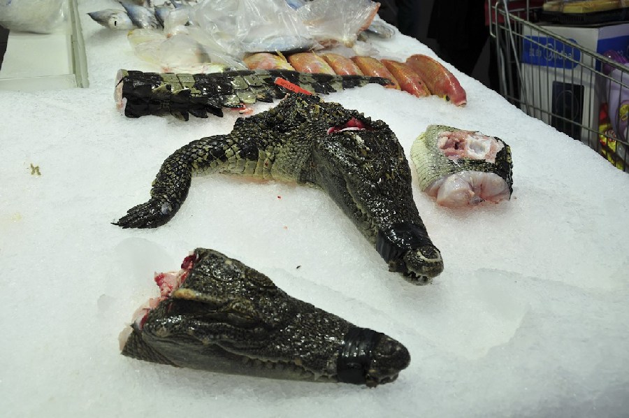 Du crocodile à vendre dans les supermarchés de Guangzhou (2)