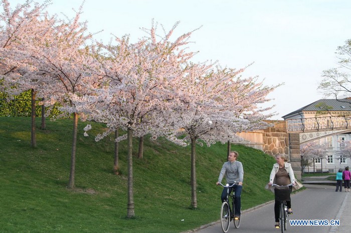 Photos: paysages du printemps à Copenhagen (3)