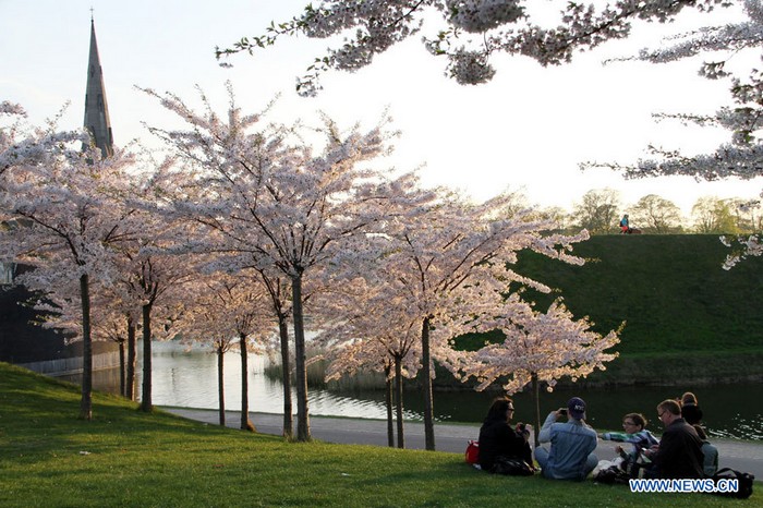 Photos: paysages du printemps à Copenhagen (4)