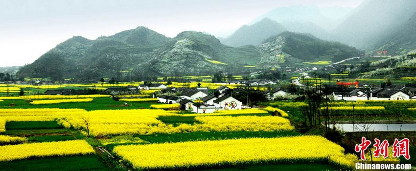 De beaux paysages d'un petit village de Mianzhu. (Photo : Mian Lvxuan)