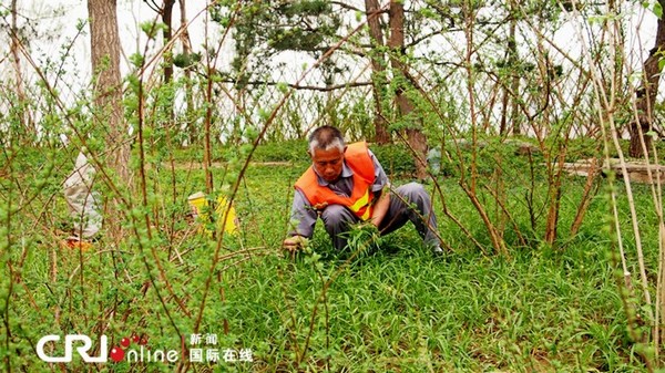 Un tarif à moitié prix pour le premier jour de la Foire internationale du jardinage de Beijing (13)