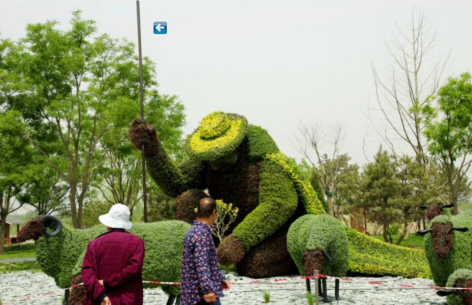 Deux visiteurs se promènent près d'une sculpture végétale en forme de berger lors de la neuvième Exposition Internationale d'Horticulture de Chine, qui se tient à Beijing, dans le District de Fengtai. L'exposition est prête pour son ouverture le 18 mai ; elle durera jusqu'au 18 novembre. [Photo par Michael Thai / China Daily]
