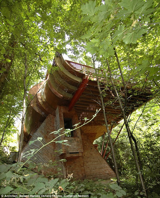 Photos : une maison écologique perdue dans la forêt (5)