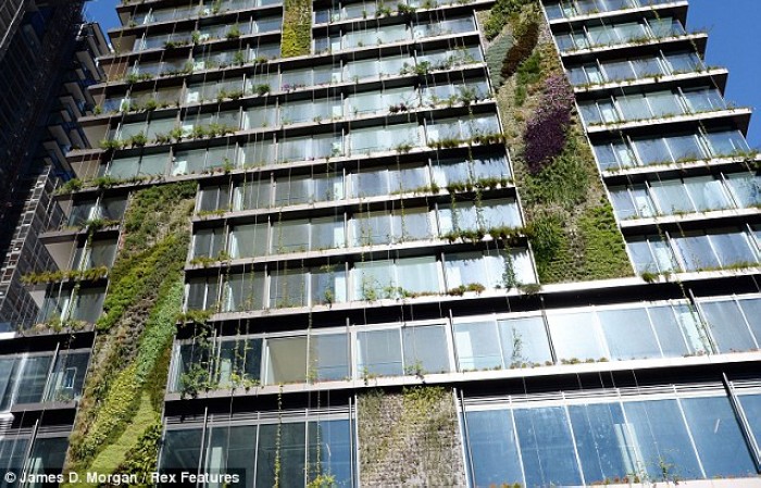 Un botaniste français invente les jardins verticaux sur la paroi des immeubles (4)