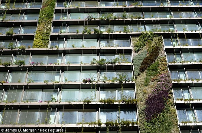 Un botaniste français invente les jardins verticaux sur la paroi des immeubles (5)