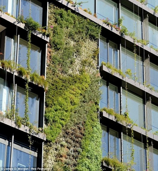 Un botaniste français invente les jardins verticaux sur la paroi des immeubles