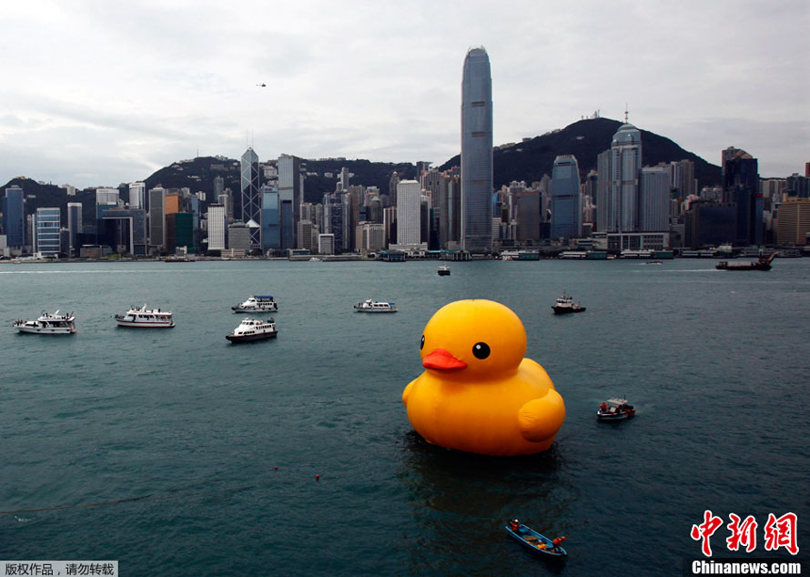 Hong Kong : le canard géant reprend son souffle (5)