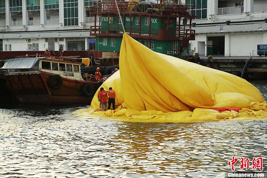 Hong Kong : le canard géant reprend son souffle (3)