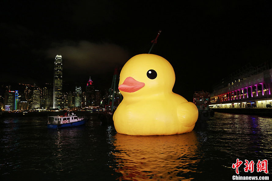 Hong Kong : le canard géant reprend son souffle