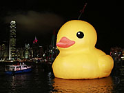 Hong Kong : le canard géant reprend son souffle