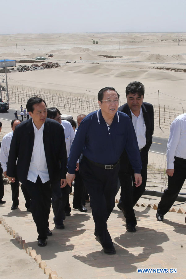 Yu Zhengsheng met l'accent sur la lutte contre l'extrémisme et le terrorisme au Xinjiang (4)