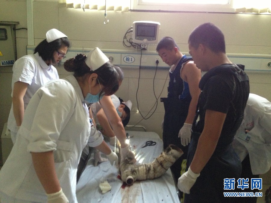 Chine: un nouveau-né sauvé d'un conduit de toilettes (7)