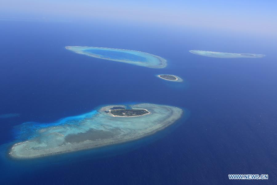 Un monde merveilleux sous-marin dans les eaux des îles Xisha en mer de Chine méridionale (5)