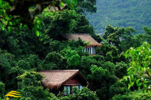 Forêts tropicales de la Baie de Yalong-paradis sur terre