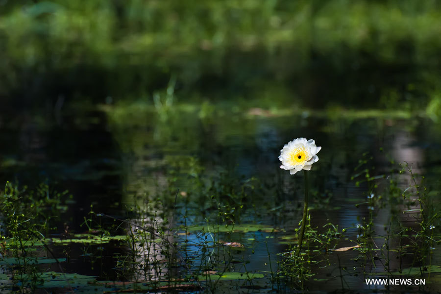 EN IMAGES: Parc national de Kakadu en Australie (5)